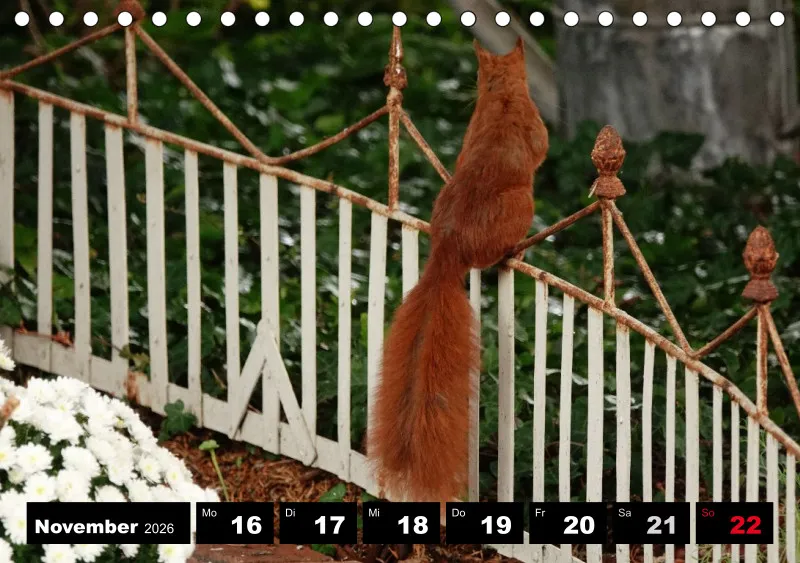 HH 2026 Tisch-Wochenkalender A5
