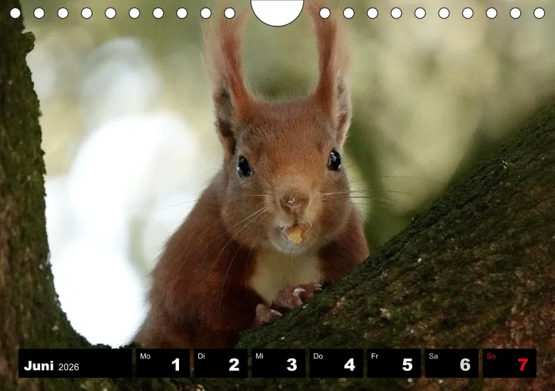 HH 2026 Wochenkalender A5
