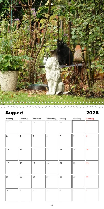 Gartenkatze Petersilie 2026