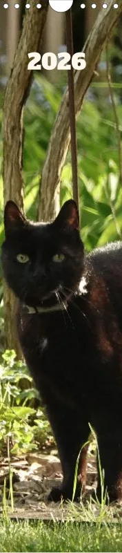 Gartenkatze Petersilie 2026 Spiralkalender