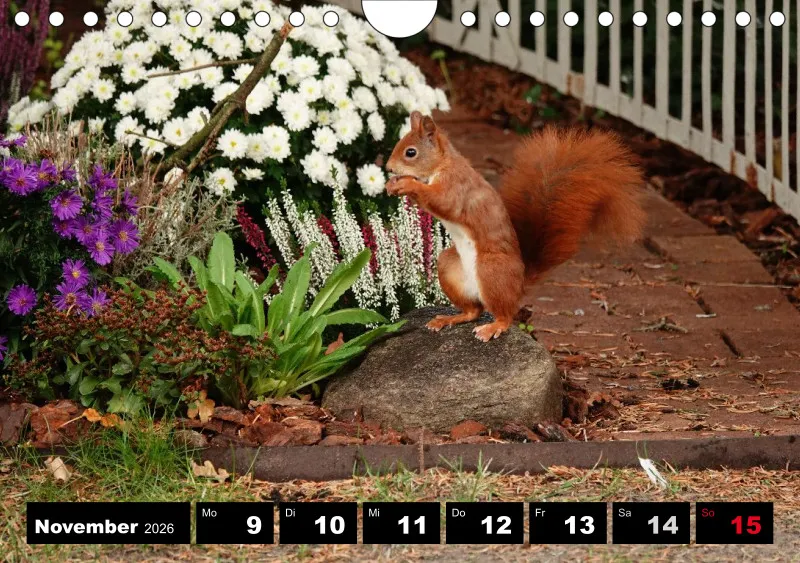 HH 2026 Wochenkalender A5