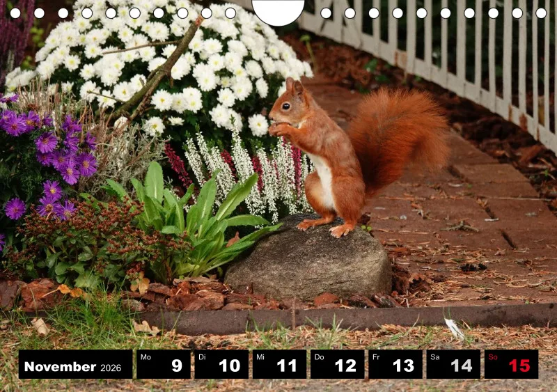 HH 2026 Wochenkalender A5