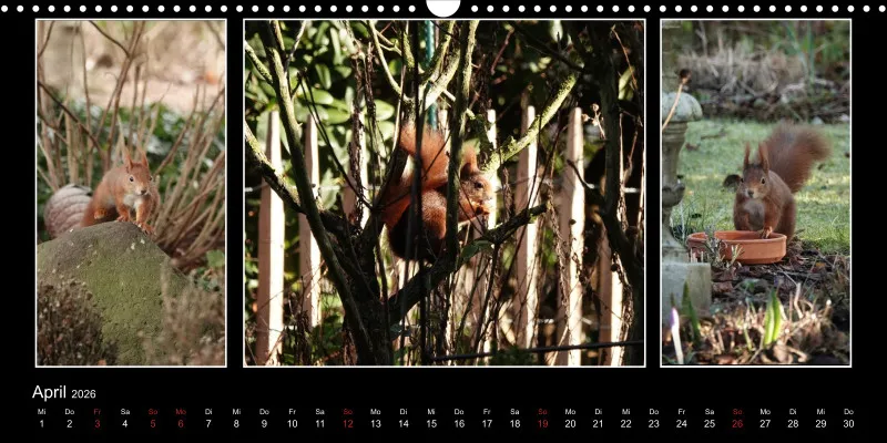 HH 2026 Panoramakalender quer
