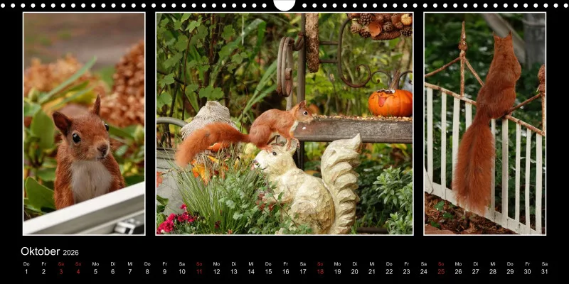 HH 2026 Panoramakalender quer