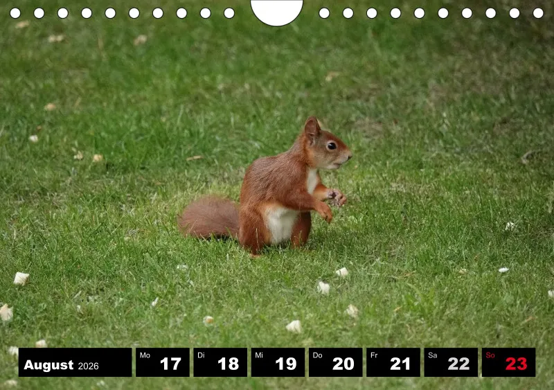 HH 2026 Wochenkalender A5
