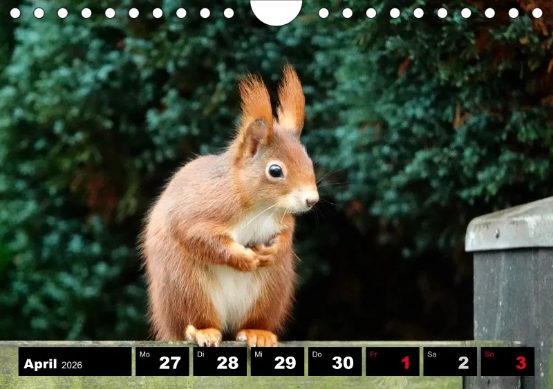 HH 2026 Wochenkalender A5