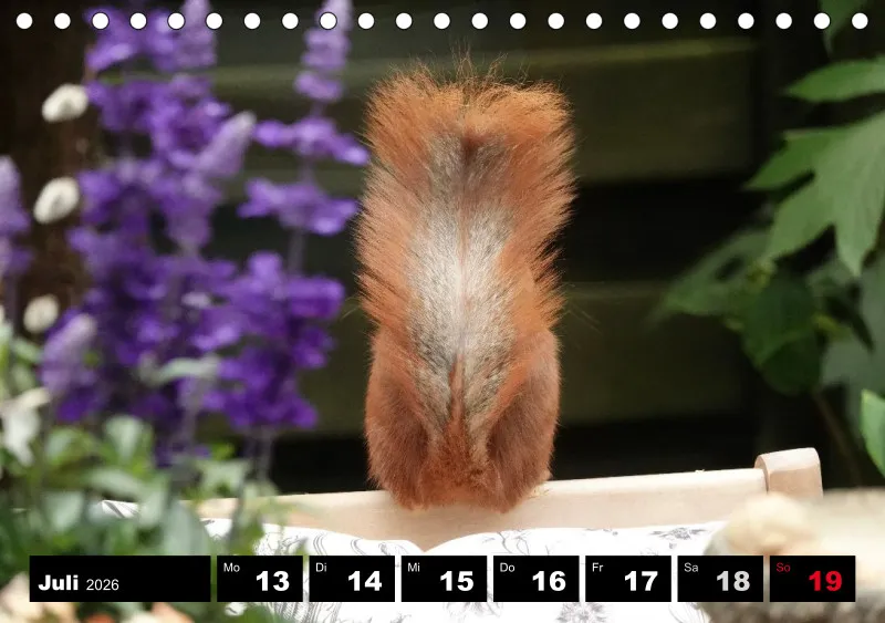 HH 2026 Tisch-Wochenkalender A5