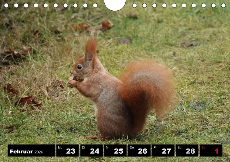 HH 2026 Wochenkalender A5