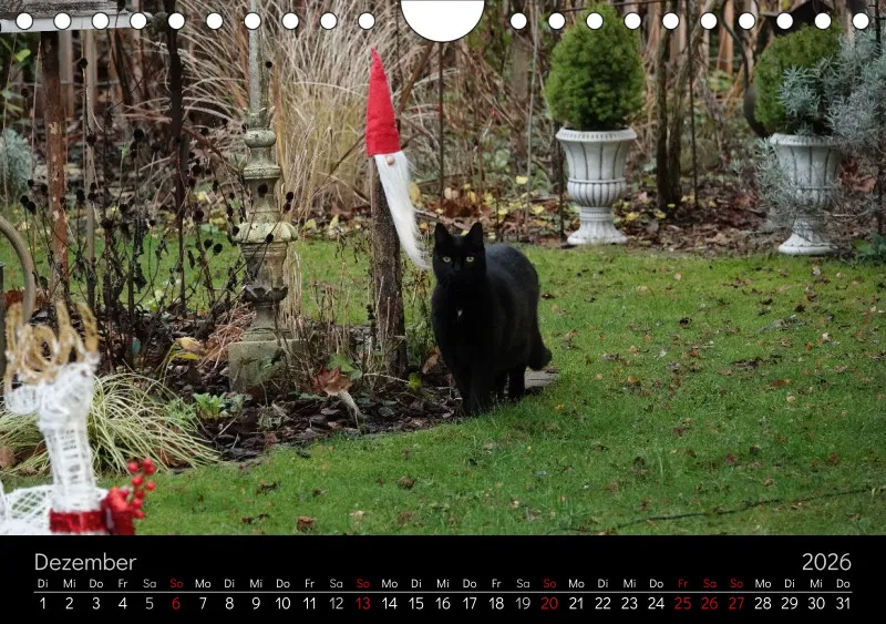 Gartenkatze Petersilie 2026 A5 Kalender