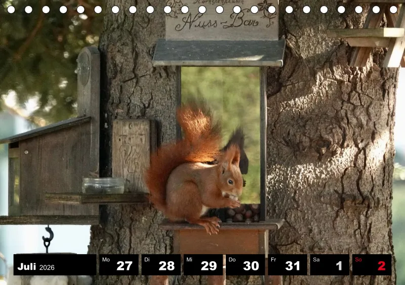 HH 2026 Tisch-Wochenkalender A5