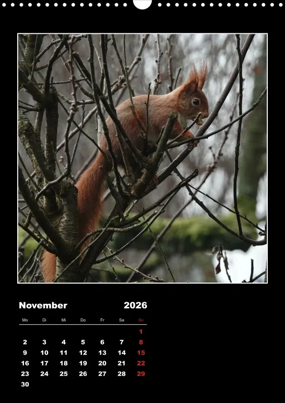 HH 2026 einfach A3 hoch
