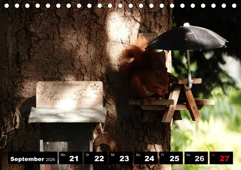 HH 2026 Tisch-Wochenkalender A5