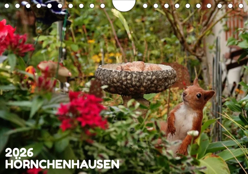 HH 2026 Wochenkalender A5
