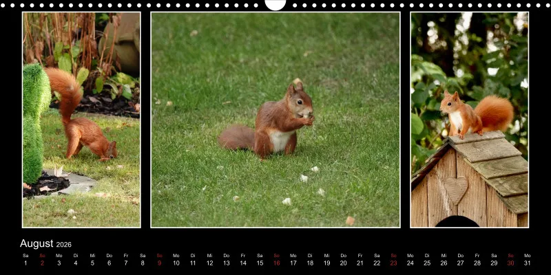 HH 2026 Panoramakalender quer