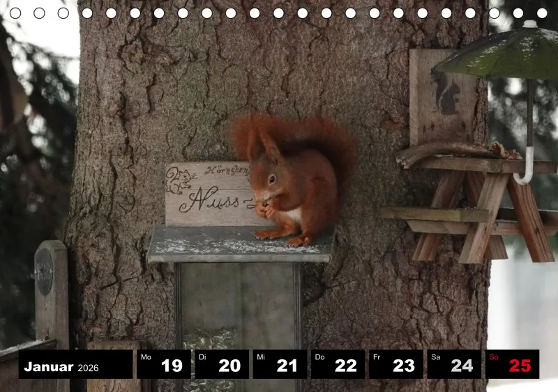 HH 2026 Tisch-Wochenkalender A5