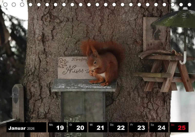 HH 2026 Tisch-Wochenkalender A5