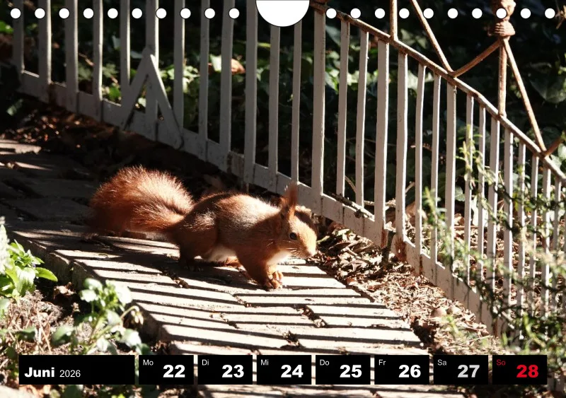 HH 2026 Wochenkalender A5