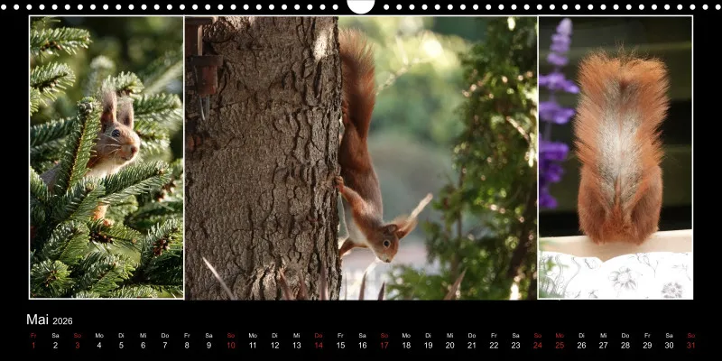 HH 2026 Panoramakalender quer