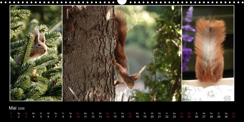 HH 2026 Panoramakalender quer