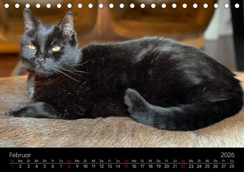 Gartenkatze Petersilie 2026