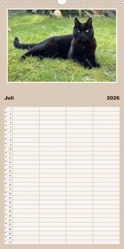 Gartenkatze Petersilie Familienplaner