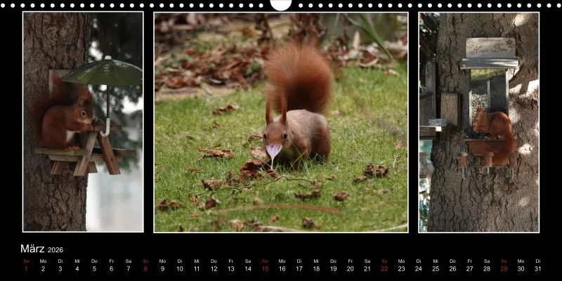 HH 2026 Panoramakalender quer