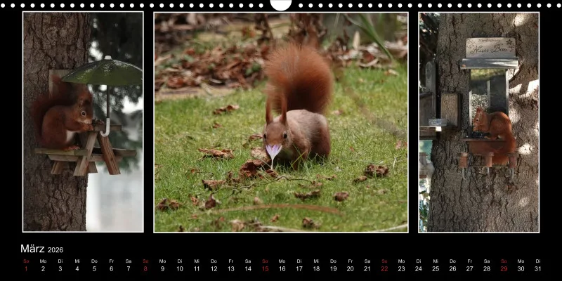 HH 2026 Panoramakalender quer