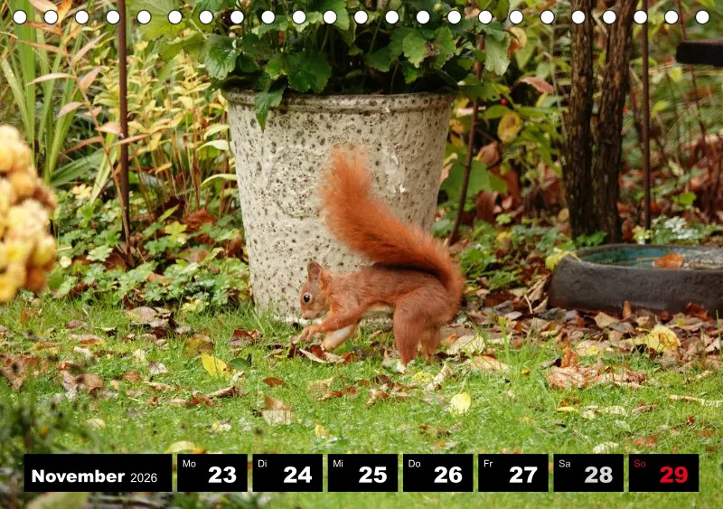 HH 2026 Tisch-Wochenkalender A5