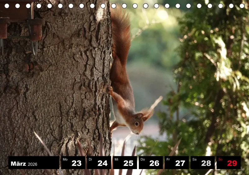 HH 2026 Tisch-Wochenkalender A5