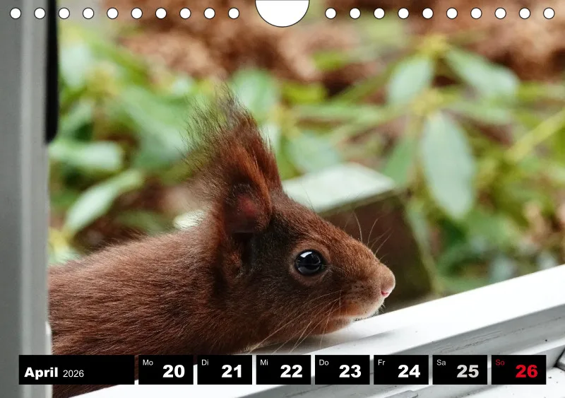 HH 2026 Wochenkalender A5