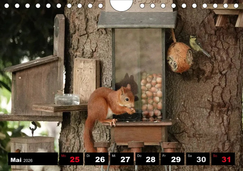 HH 2026 Wochenkalender A5