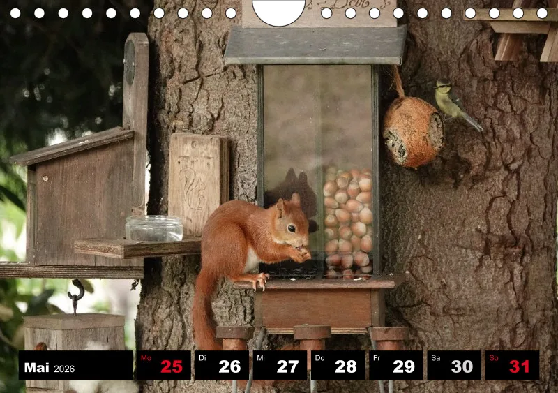 HH 2026 Wochenkalender A5
