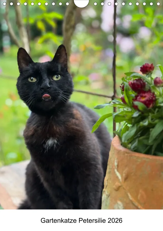 Gartenkatze Petersilie 2026 A4 Kalender Hochformat