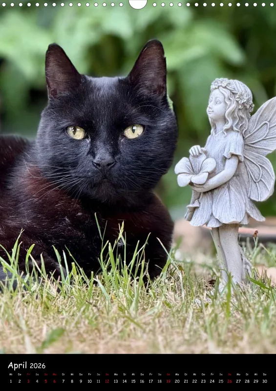 Gartenkatze Petersilie 2026