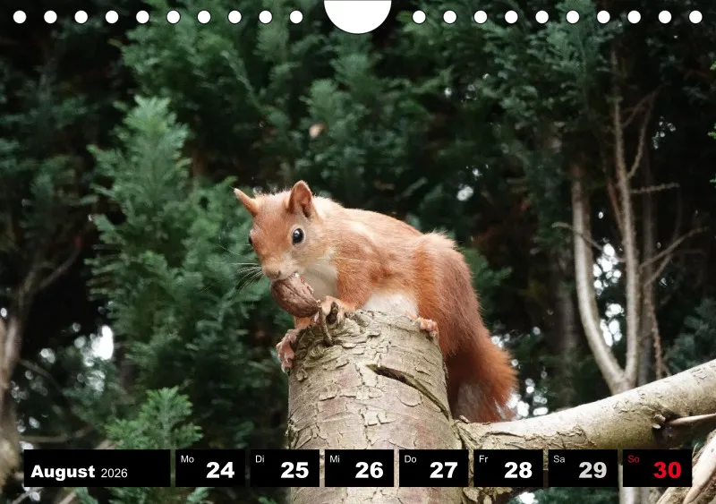 HH 2026 Wochenkalender A5
