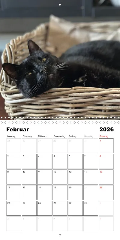Gartenkatze Petersilie 2026