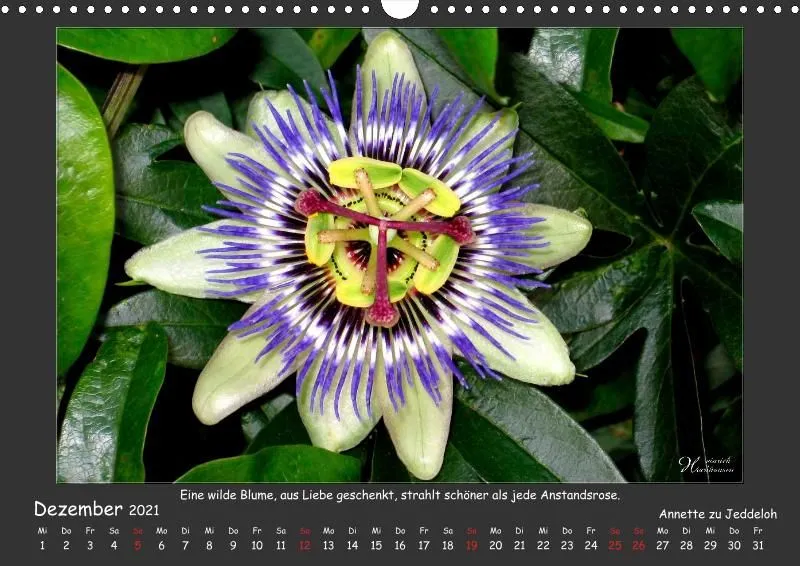Holistic Arts Blumen-Kalender 2021 - Lächeln der Erde A3