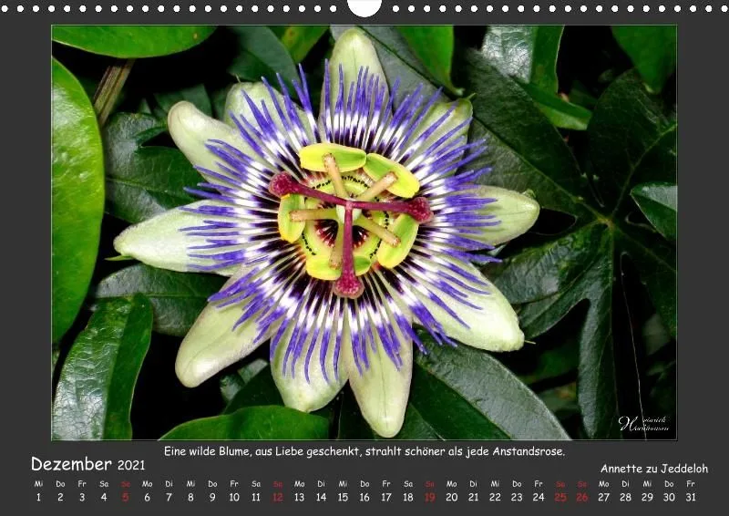 Holistic Arts Blumen-Kalender 2021 - Lächeln der Erde A3