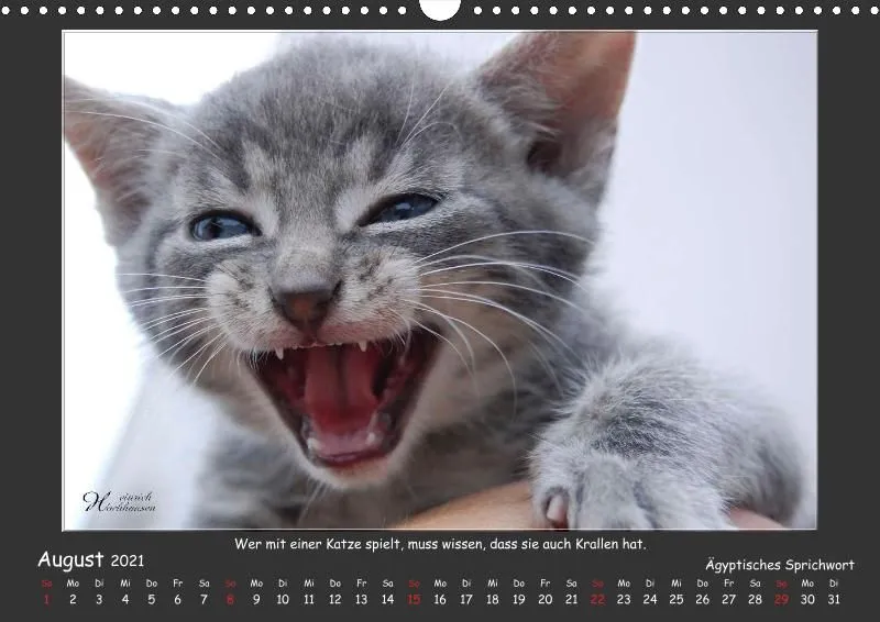 Holistic Arts Katzen-Kalender 2021 - Aristocats A3
