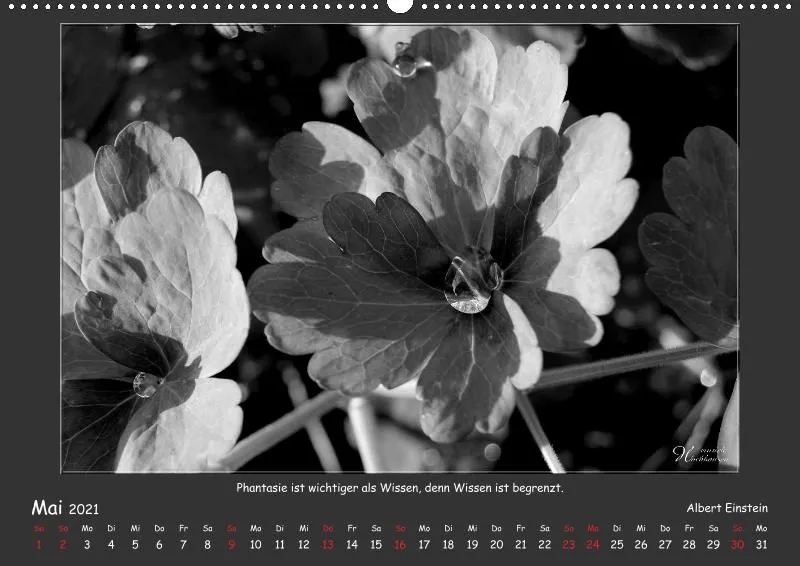 Holistic Arts Schwarzweiß-Kalender 2021 - Kontraste A2