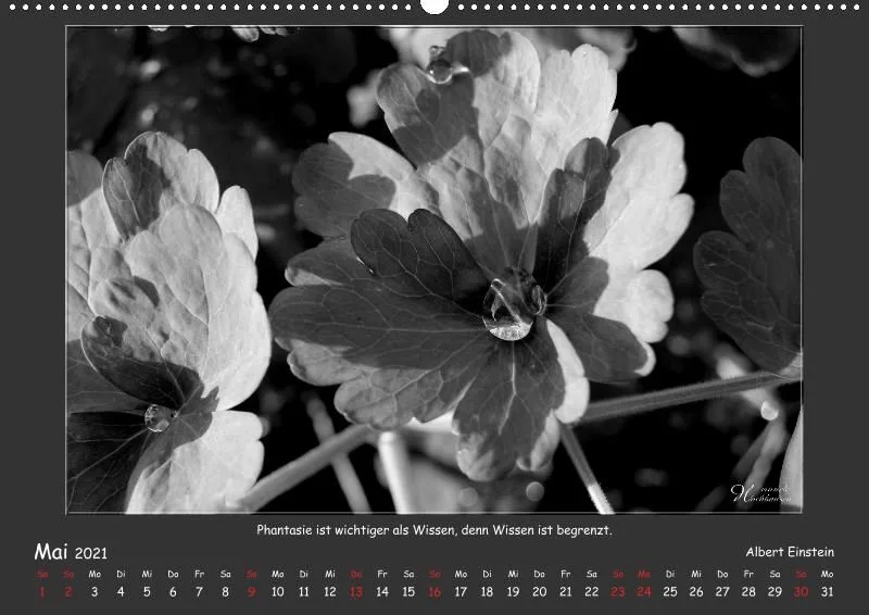 Holistic Arts Schwarzweiß-Kalender 2021 - Kontraste A2