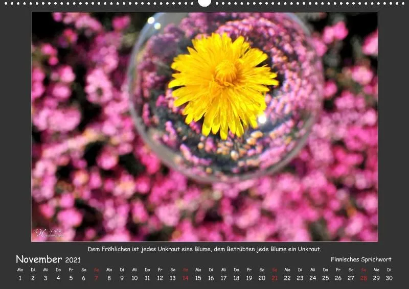 Holistic Arts Blumen-Kalender 2021 - Lächeln der Erde A2