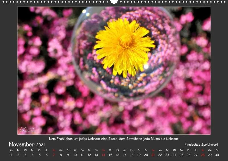 Holistic Arts Blumen-Kalender 2021 - Lächeln der Erde A2