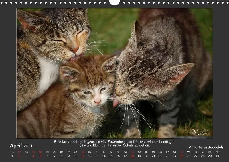 Holistic Arts Katzen-Kalender 2021 - Aristocats A3