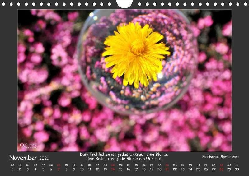 Holistic Arts Blumen-Kalender 2021 - Lächeln der Erde A4