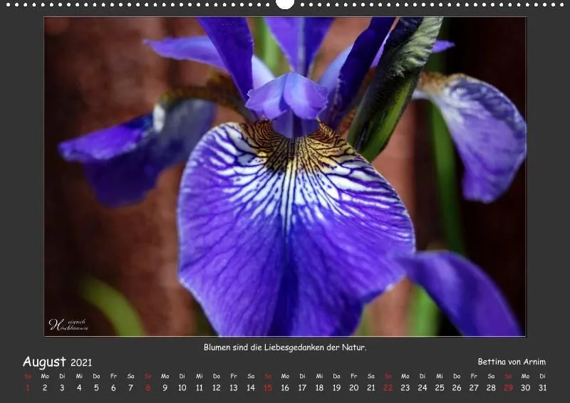 Holistic Arts Blumen-Kalender 2021 - Lächeln der Erde A2