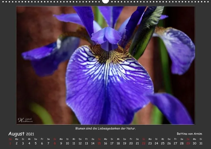 Holistic Arts Blumen-Kalender 2021 - Lächeln der Erde A2
