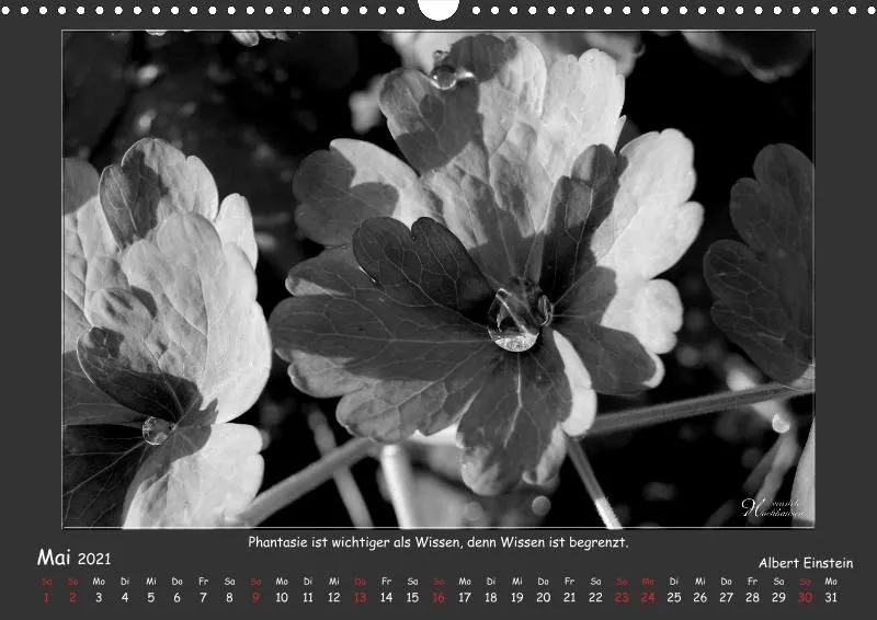 Holistic Arts Schwarzweiß-Kalender 2021 - Kontraste A3