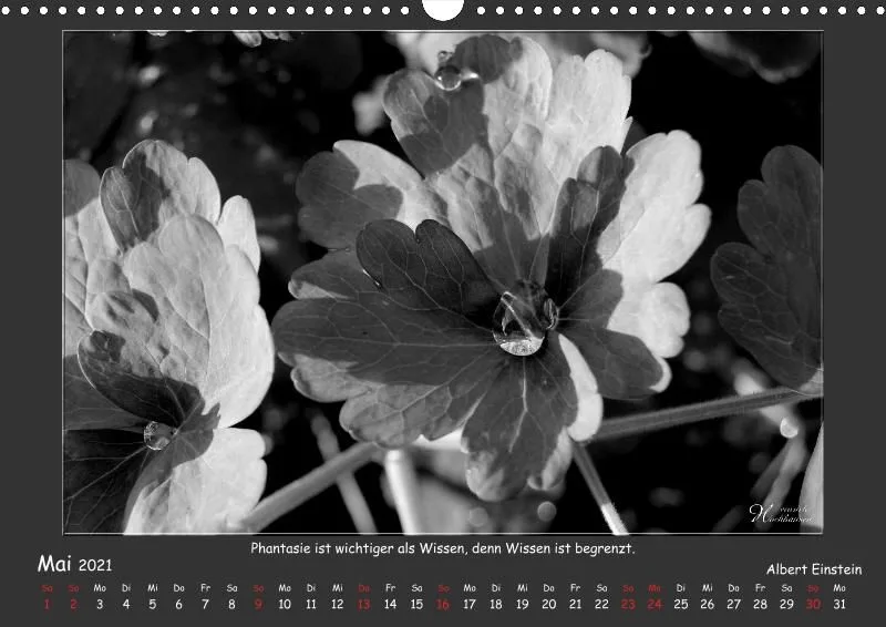 Holistic Arts Schwarzweiß-Kalender 2021 - Kontraste A3