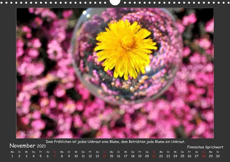 Holistic Arts Blumen-Kalender 2021 - Lächeln der Erde A3